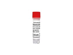 iXCells Biotechnologies&nbsp;Rat Peripheral Blood Mononucle