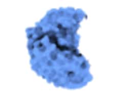 MONOD BIO INC Anti-Histidine NovoBody Binder Protein, Human Fc tag, Quantity: