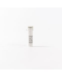 MP Biomedicals RNA Matrix 1.5 mL | Buy Online | MP Biomedicals&trade; | Fisher Scientific