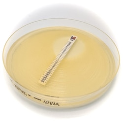 Liofilchem&trade;&nbsp;Mueller Hinton II Agar + 2% NaCl