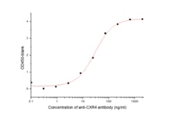 Sino Biological Human CXCR4 Protein 100ug (Sino Biological), Quantity:
