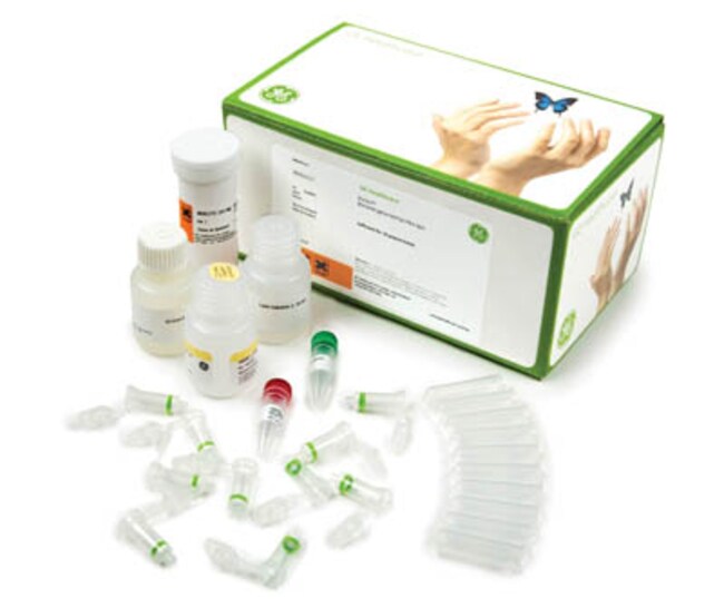 Cytiva (Formerly GE Healthcare Life Sciences) Illustra Bacteria Mini