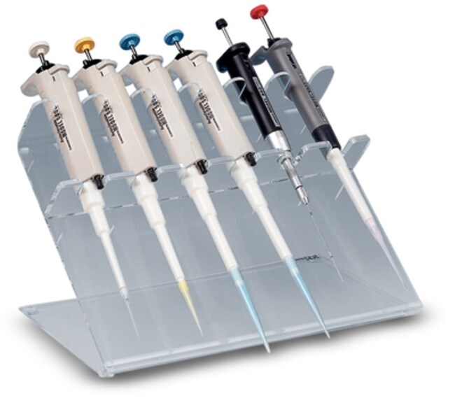 Fisherbrand Acrylic Pipette Stand Clear Buy Online Fisher Scientific