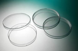 Placa Petri Gosselin con embalaje para salas limpias 14.2 mm | Buy Online | Gosselin | Fisher Scientific