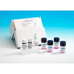 Prolab Diagnostics PROLEX L.PNEUMO. SG1, Quantity: Pezzo