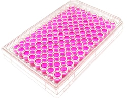 MatTek Corporation (Case of 5) 96-Well Plates, No. 1.5 Uncoated Coverslip,