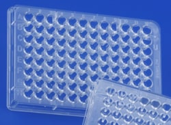 S BIO&nbsp;ProteoSave&trade; 50mL Conicaltube