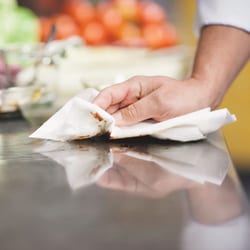 Tork Premium Extra Absorbent Kitchen Paper Towel Roll White | Buy Online | Tork | Fisher Scientific