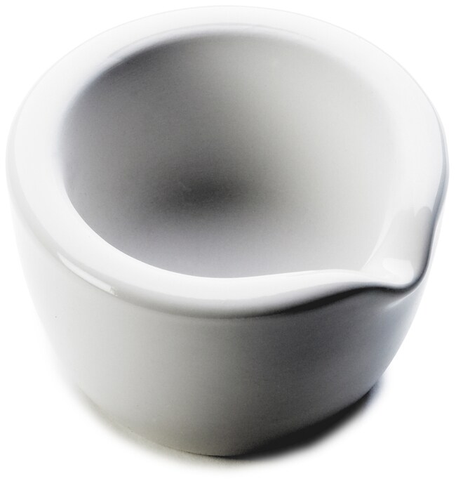 Hach Company Mortar, 80 mm OD, 65 mL capacity (use with pestle 1225500) Fisher Scientific