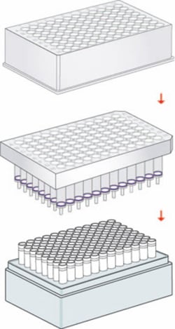 Macherey-Nagel NucleoSpin 96 Virus, 96-well kit for viral RNA/DNA purification