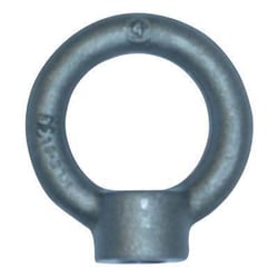 Manutan X2 Pk 2 m10 eye nut swl 200kg, Quantity: Pack of 2