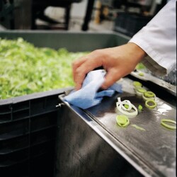 Tork Tork Starke Mehrzweck-Papierwischtücher Blau M2, Innenabrollung, 6 x 450 Blatt, 128207 Blau | Buy Online | Tork | Fisher Scientific