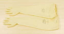 BM Polyco NR Latex Dry Box Gloves 7 | Buy Online | BM Polyco&trade; | Fisher Scientific