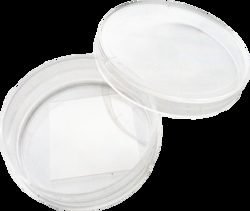 MatTek Corporation (Case of 500) 35 mm Falcon Dish, No. 1.5, 22 x 22 mm
