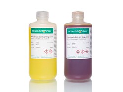 Newcomer Supply Hematoxylin Stain Set, Weigert Iron, 1L set - Excellent