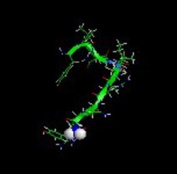 Genscript Corporation Neuropeptide Y, human, Quantity: Each of 1