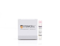 STEMCELL Technologies&nbsp;RosetteSep&trade; Human CD8+ T Cell Enrichment Cocktail, For processing: 40 mL whole blood processed