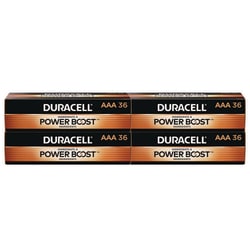 Enterprise Technology Solutions Power Boost CopperTop Alkaline