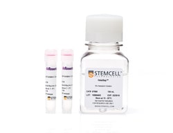 STEMCELL Technologies Complete RosetteSep Human Cord Blood Progenitor Enrichment
