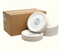 Yes 2 Solutions Paper plate, nine inch, white, pack of 100 White | Buy Online | Yes 2 Solutions&trade; | Fisher Scientific