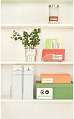 Avery Dennison Avery White Copier Labels, eight per sheet, Quantity: Pack