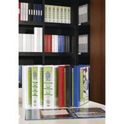 Elba Elba A4 panorama presentation ring binder, 50mm, 4D, green Green | Buy Online | Elba&trade; | Fisher Scientific