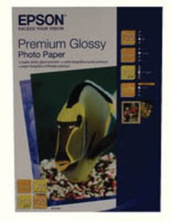 Epson Epson premier glossy photo paper, A4, pack of 20 | Buy Online | Epson&trade; | Fisher Scientific