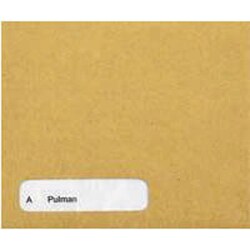 Sage Self-seal wage envelope, for use with Sage SE32 and SE95 pay advice slips | Buy Online | Sage&trade; | Fisher Scientific