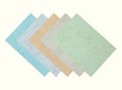 Fellowes Fellowes A4 Copylux card cover, 200g, blue | Buy Online | Fellowes&trade; | Fisher Scientific