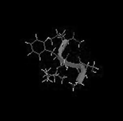 Genscript Corporation Ghrelin, rat, Quantity: Each of 1