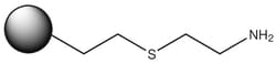 Strem, An Ascensus Company 10g. 2-Aminoethyl sulfide ethyl Silica (PhosphonicS