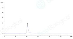 Sino Biological Human CNR2 Protein 500ug (Sino Biological), Quantity: Each