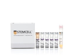 STEMCELL Technologies&nbsp;EasySep&trade; Release Mouse Biotin Positive Selection Kit, Size: 1 x 10^9 cells