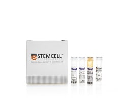 STEMCELL Technologies EasySep Human FITC Positive Selection Kit II 1 x 10<sup>9</sup> cells | Buy Online | STEMCELL Technologies | Fisher Scientific