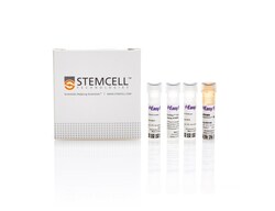 STEMCELL Technologies&nbsp;EasySep&trade; Mouse APC Positive Selection Kit II, For processing: 1 x 10^9 cells