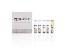 STEMCELL Technologies EasySep Human "Do-It-Yourself" Positive Selection