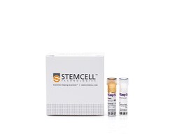STEMCELL Technologies EasySep Human CD19 Positive Selection Kit II 1 x 10<sup>9</sup> cells | Buy Online | STEMCELL Technologies | Fisher Scientific