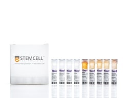STEMCELL Technologies EasySep Human Th17 Cell Enrichment Kit II, For processing:
