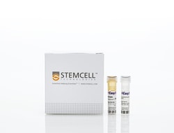 STEMCELL Technologies EasySep Human CD138 Positive Selection Kit II, Quantity: