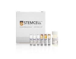 STEMCELL Technologies EasySep HLA Chimerism Whole Blood CD66b Positive