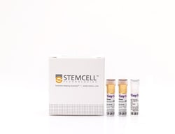 STEMCELL Technologies EasySep Human Progenitor Cell Enrichment Kit II 1 x 10<sup>9</sup> Cells | Buy Online | STEMCELL Technologies | Fisher Scientific