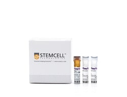 STEMCELL Technologies EasySep Human B Cell Isolation Kit, For processing: