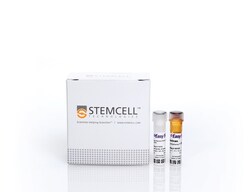 STEMCELL Technologies EasySep Human Pan-ILC Enrichment Kit, For processing: