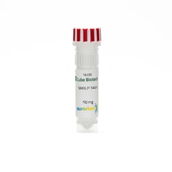 CUBE BIOTECH SMALP 140 I 10 X 50 MG, Quantity: Each of 1