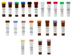 CUBE BIOTECH SYNTHETIC NANODISC SCREENING, Quantity: Each of 1