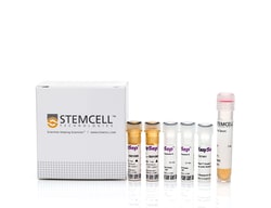 STEMCELL Technologies EasySep Mouse CD11c Positive Selection Kit II, For