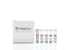 STEMCELL Technologies EasySep Mouse CD8a Positive Selection Kit II, For