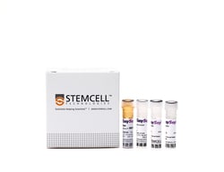 STEMCELL Technologies RoboSep Mouse CD138 Positive Selection Kit 2 x 10<sup>9</sup> cellules | Buy Online | STEMCELL Technologies | Fisher Scientific