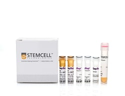 STEMCELL Technologies EasySep Mouse CD11b Positive Selection Kit II, For