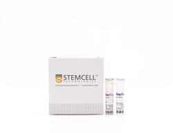 STEMCELL Technologies EasySep Human T Cell Enrichment Kit, For processing: